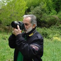 Harun Cenani (@haruncenani) Twitter profile photo