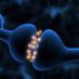Dion (@dionbiotech) Twitter profile photo Dion (@dionbiotech) Twitter profile photo