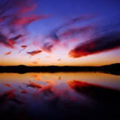 2horseloverz's profile picture. Watch all your favorite horse movies for free today.