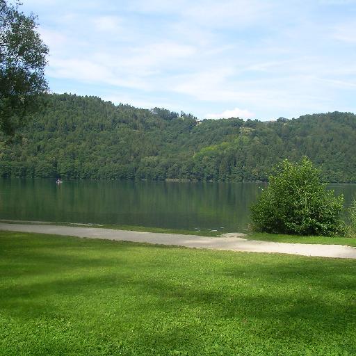 lampionaio's profile picture. 