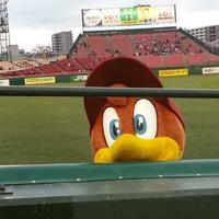 モーちゃん🐙 (@sho_0206) Twitter profile photo