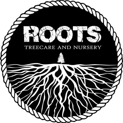 RootsTreecare's profile picture. ISA Certified Arborist® Services: Tree Consultation, Pruning, Removal, Stump Grinding, Consulting Arborist Services