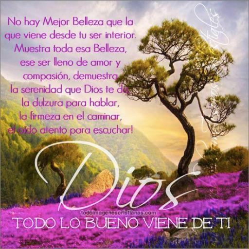 Ingeniera Informática, Misionera de la Paz en Formación. Bendecida por Dios cada día. La Palabra de Dios es vida en si misma, cuando se guarda en el corazón…