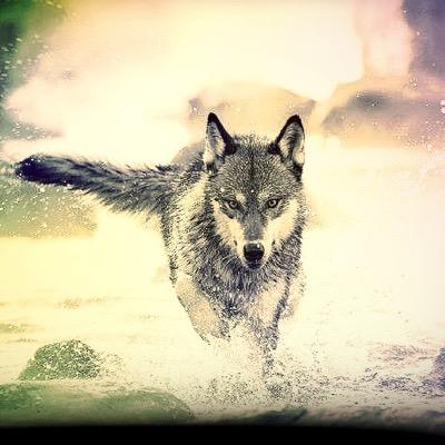 Just a demon in disguise, alone for eternity. I have friends, but sometimes I just feel so alone... They're miles away.