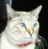 基本的に毎日飲んでます。ビールとシャンパンが好き。最近の趣味は子ども向け番組。将棋。藤井システム。