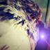 Santhoshkumar (@skg8500) Twitter profile photo Santhoshkumar (@skg8500) Twitter profile photo