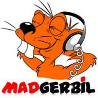 MadGerbil(@MadGerbil365) 's Twitter Profile Photo