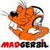 MadGerbil (@madgerbil365) Twitter profile photo MadGerbil (@madgerbil365) Twitter profile photo