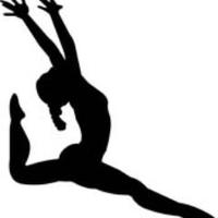 Flyaways Gymnastics (@flyaways_gym) 's Twitter Profile