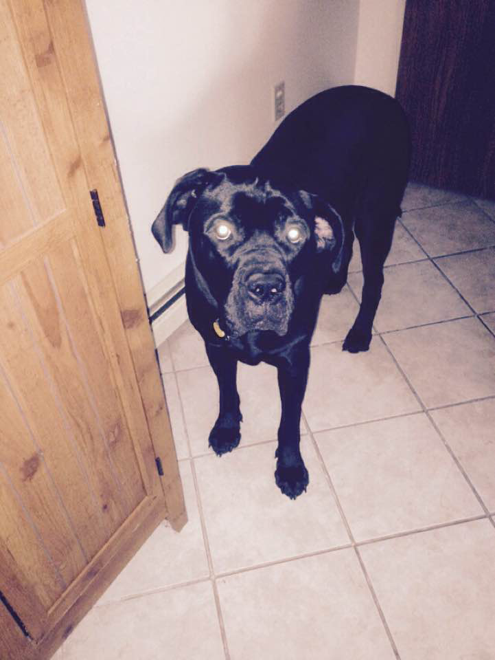 LimaKiley's profile picture. 