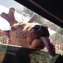 Caleb Denton - @DeltaForceJuan - Twitter