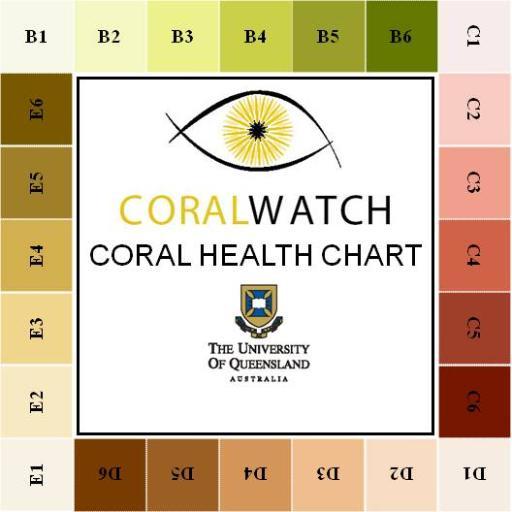 CoralWatch integrates volunteer monitoring of coral bleaching with education about coral reef conservation - based at The University of Queensland