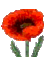 iran_e_sabz's profile image