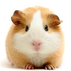 416940585's profile picture. I'm Twig , I'm from china.