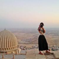 Emel Ernalbant Bulgu (@emelbulgu) 's Twitter Profile