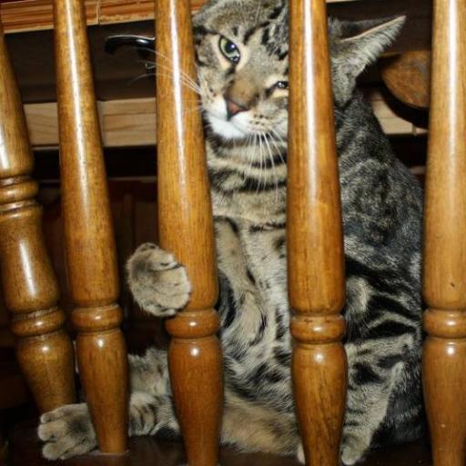 marnee214's profile picture. 