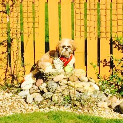 ayre_andrew's profile picture. 