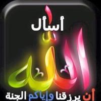 mohd osheit (@m_osheit) 's Twitter Profile