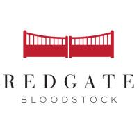 Damian Flynn (@redgatebldstk) 's Twitter Profile