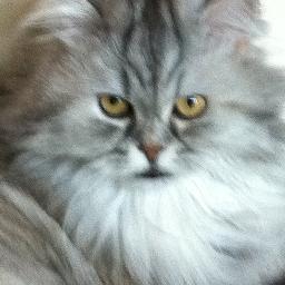 GabbyGern's profile picture. 