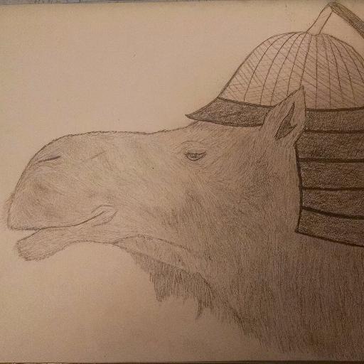 camelkhann's profile picture. 