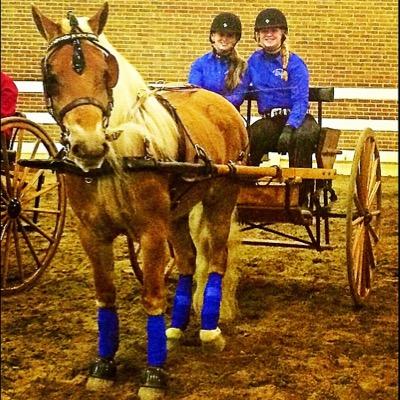 KCoops33's profile picture. 