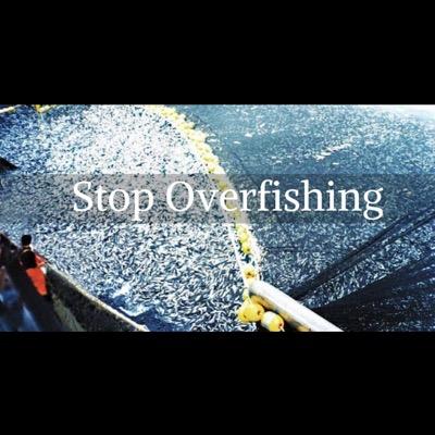 If you're overfishing at the top of the food chain, and acidifying the bottom of the ocean you're creating a squeeze that may collapse it all -Carl Safina
