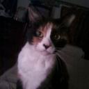 JoAn Quick - @QJoann84 - Twitter