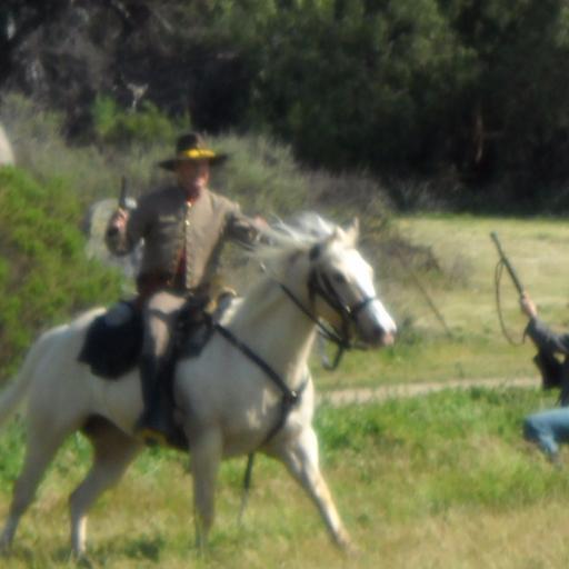 horse_ranger's profile picture. horses have moods to