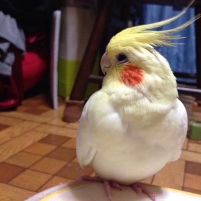 hmy_rk Profile Picture
