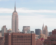 Free apartments listings throughout NYC. Anything I see, I post. Let me know what areas interest you.