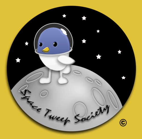 Official Twitter account of the international (and one day, interplanetary) Space Tweep Society #spacetweeps #space