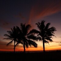 Anjava D'syah (@andsyah) 's Twitter Profile