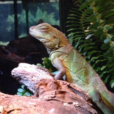 2525kanechi's profile picture. 高2の娘とライブ行くこと多いﾁｷﾝﾏﾏﾝ
MSSPえおさん寄り箱推し9月武道館
BTS・JIN寄り箱推し BE:FIRSTじゅのん
東京ヤンキース梅村総一郎さん一生最推
のしがない主婦…ヲタでもありますかね…    あ   楽しそうなとこに吸い寄せられて無言フォローしますｺﾞﾒﾝﾅｻｲ。おかあさんて呼んで