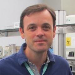 Catedrático de Microbiología
Universitat de València