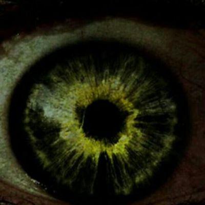 jan_sachs's profile picture. 