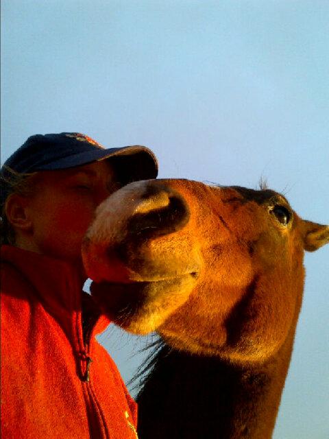 Horse & dog crazy. Work with abused, rescues, rehab horses & #NRHA prospects Use @TributeEquine Feeds.  Retired First Responder with c-PTSD.