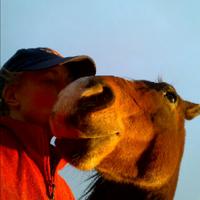 Judi Watt(@JBMEquiFarms) 's Twitter Profile Photo