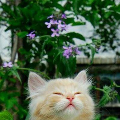 mirjana_b_a's profile picture. Affiliate manager at Affactive. Positive attitude and gratitude can get you through anything! Cheers