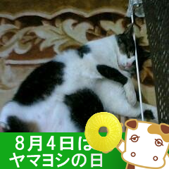 autechprimera's profile picture. 平日（土曜含む）は、くそ真面目に仕事してるので休憩時以外は反応出来ません、あしからず…　 夜も呟くことありますが、突然の寝落ちに襲われることが多いのでいきなり無言になるかと思います。　 基本理念＝楽しいこと大好きなのでアホなことしか言いませんが、 たまーーーーに真面目なモードになることも…ｗ
#ナイセン団