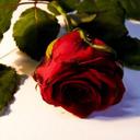 مضر عاتك (@06473ffa1344405) Twitter