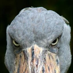 herventur's profile picture. 