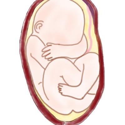 Breech101's profile image