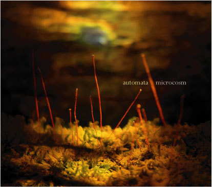 thisisautomata's profile picture. The fantastic band, of course.