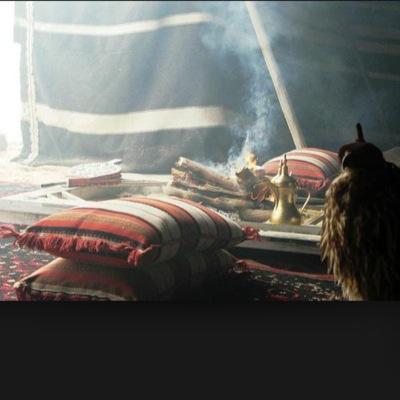 abo122sauod's profile picture. 