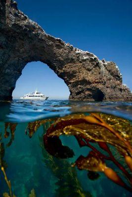 Boat transportation to the Channel Islands National Park and National Marine Sanctuary. Cruising the Santa Barbara Channel since 1968.