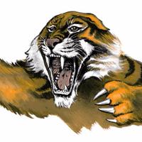 R.C. Tigers Football (@rctigers1) 's Twitter Profile