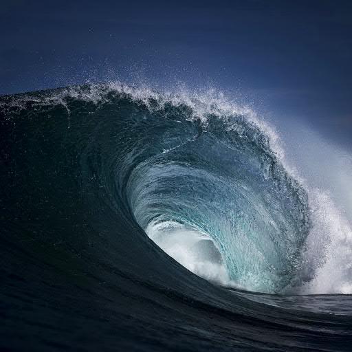 aleksrobert7's profile picture. 