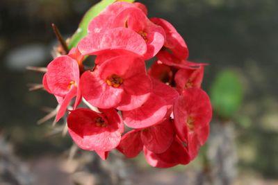 hemat_mohamed's profile picture. 