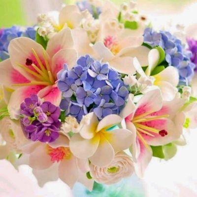 bnbn990012's profile picture. 